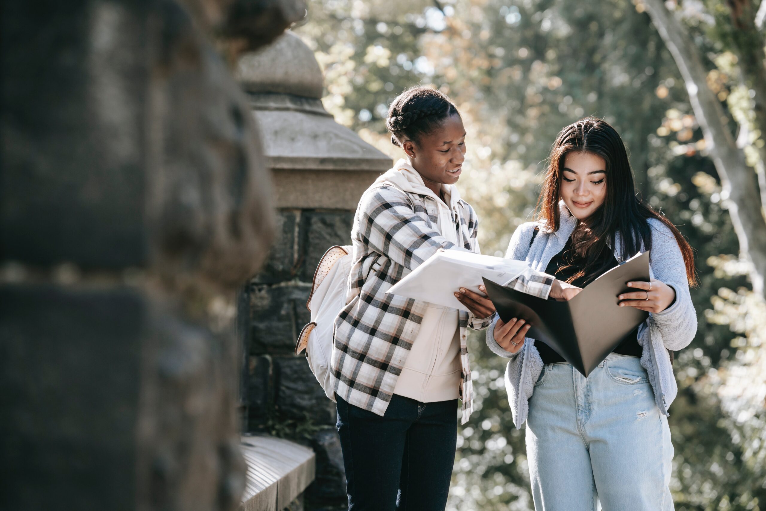 Mastering Language Fluency: Your Pathway to Proficiency with The Torah Consult’s Study Abroad